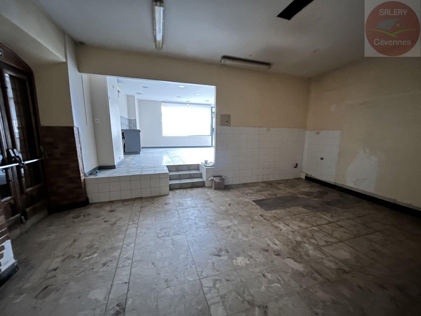 Maison à vendre, 645m², Saint-Hippolyte-du-Fort