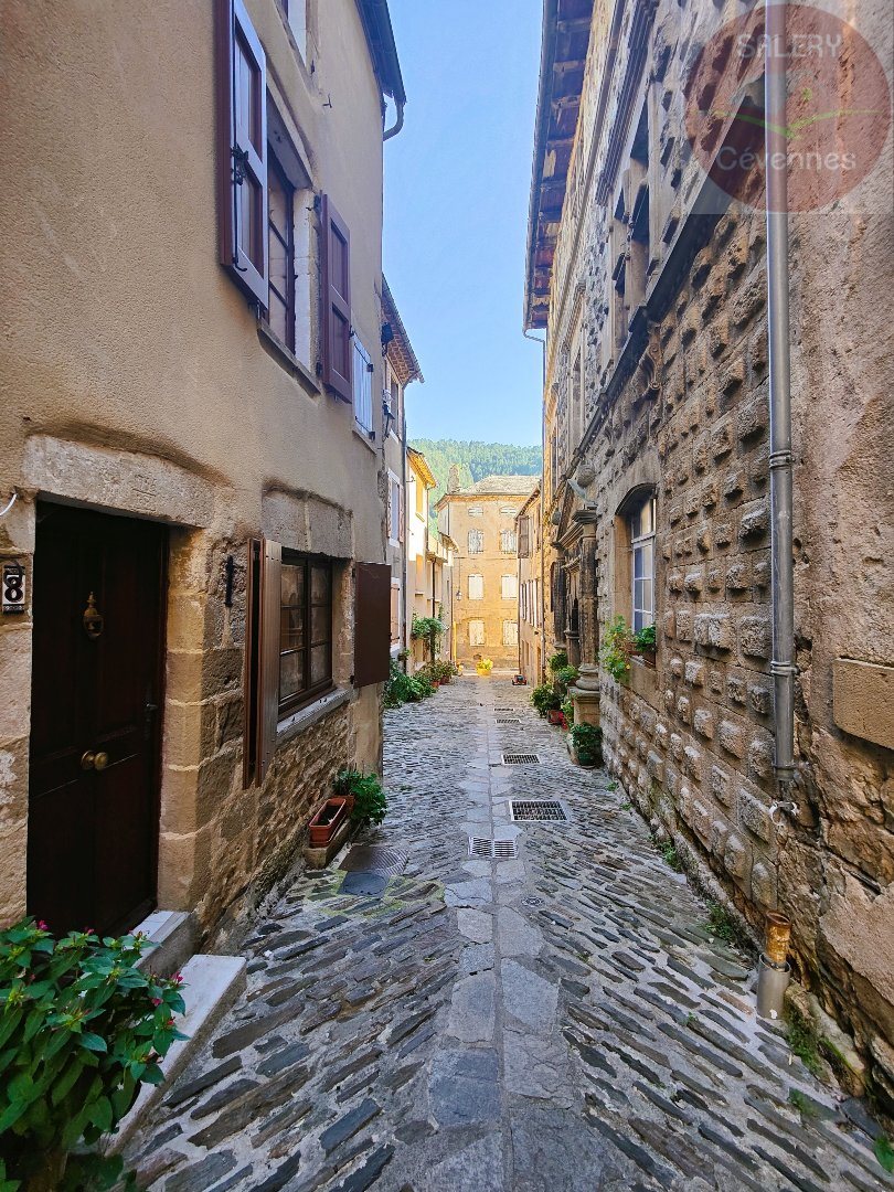 Maison à vendre, 100m², Florac