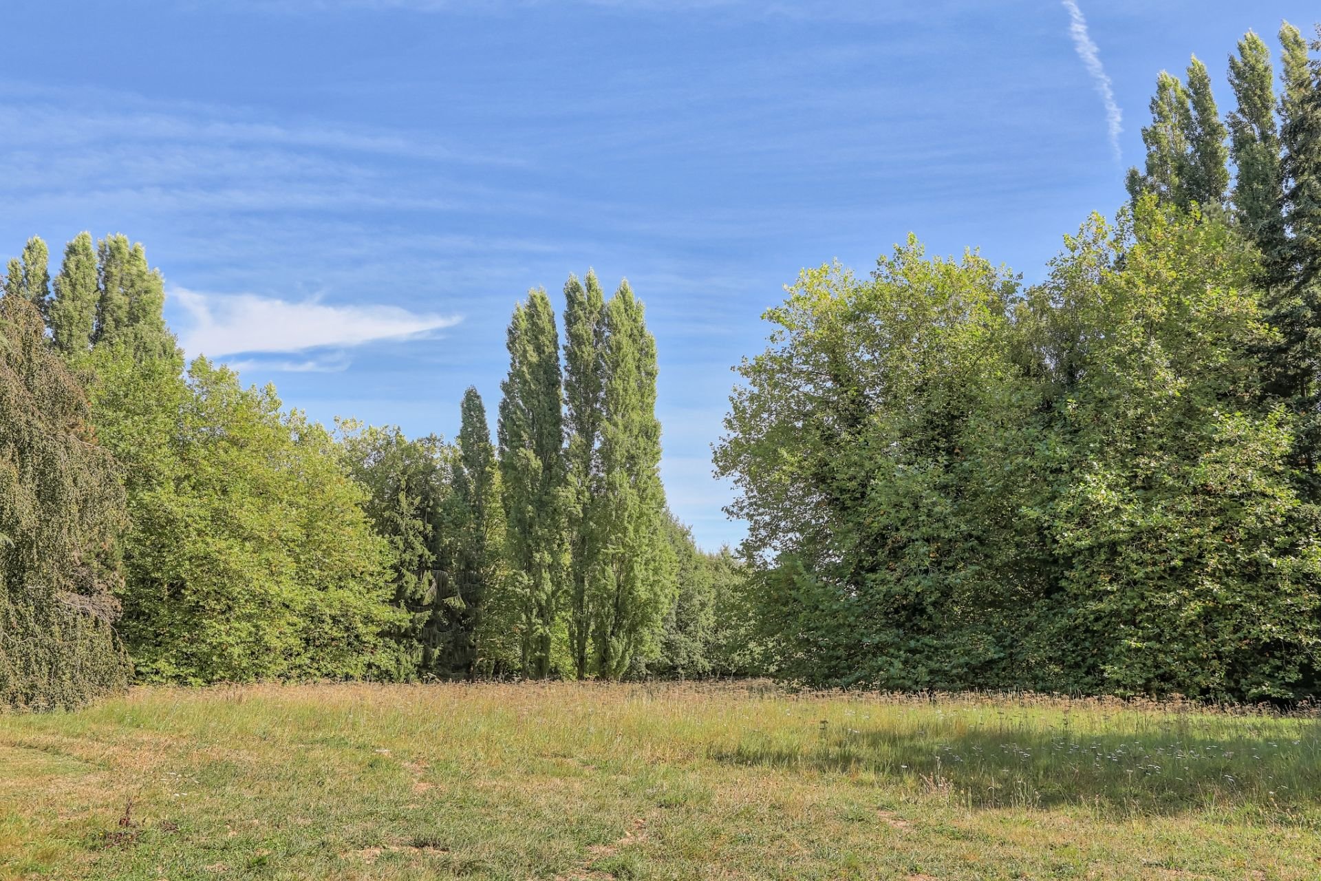 Maison à vendre, 450m², Montfort-l'Amaury