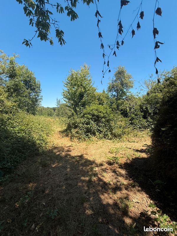 Maison à vendre, 120m², Villechétive