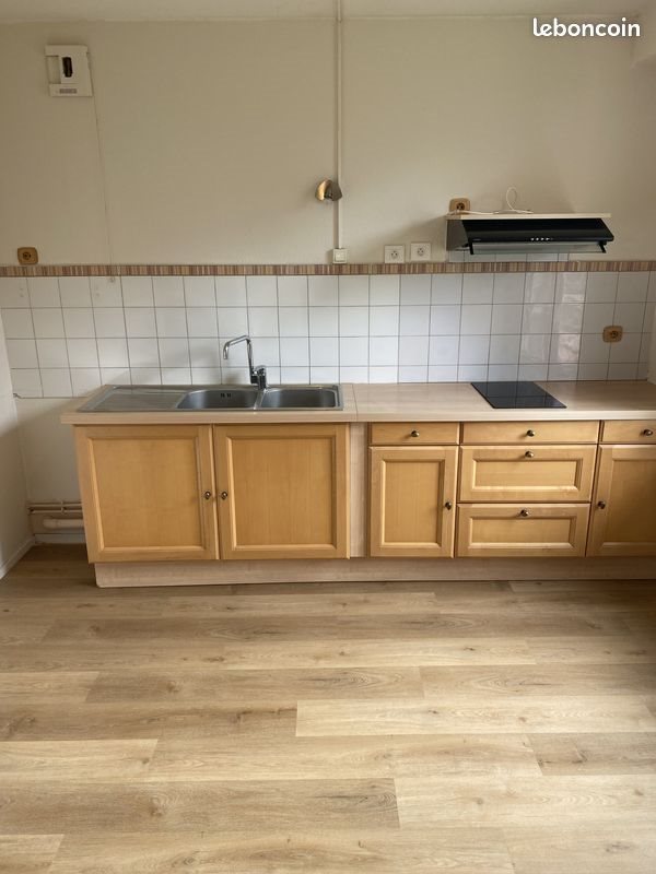 Appartement à louer, 55m², Blagnac