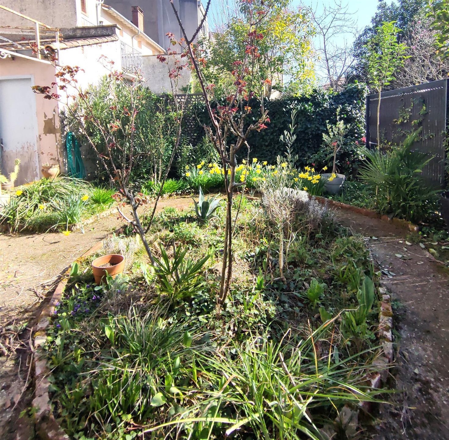 Maison à vendre, 160m², Albi