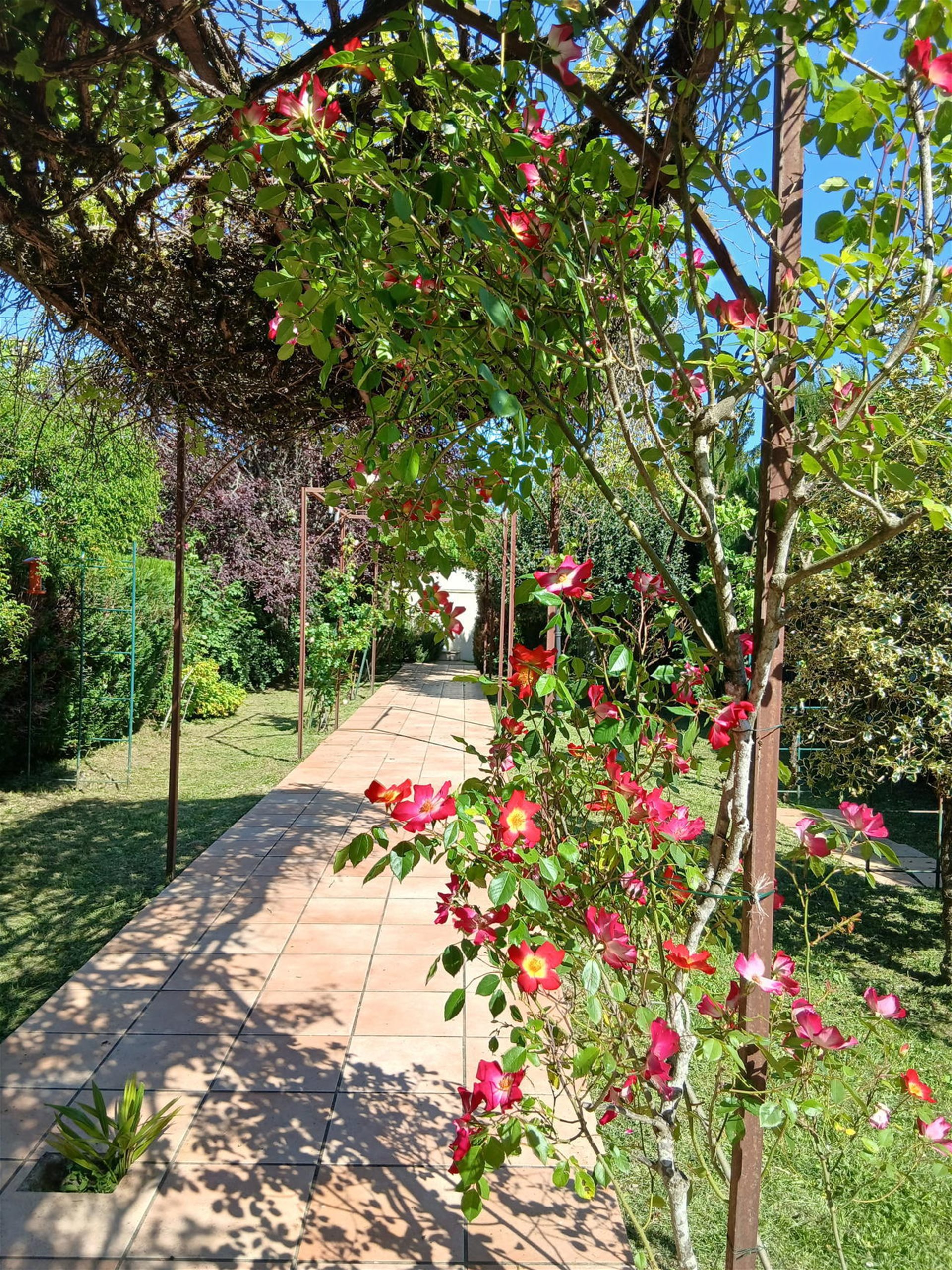 Maison à vendre, 300m², Albi