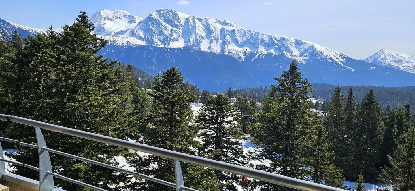 Appartement à vendre, 35m², Chamrousse