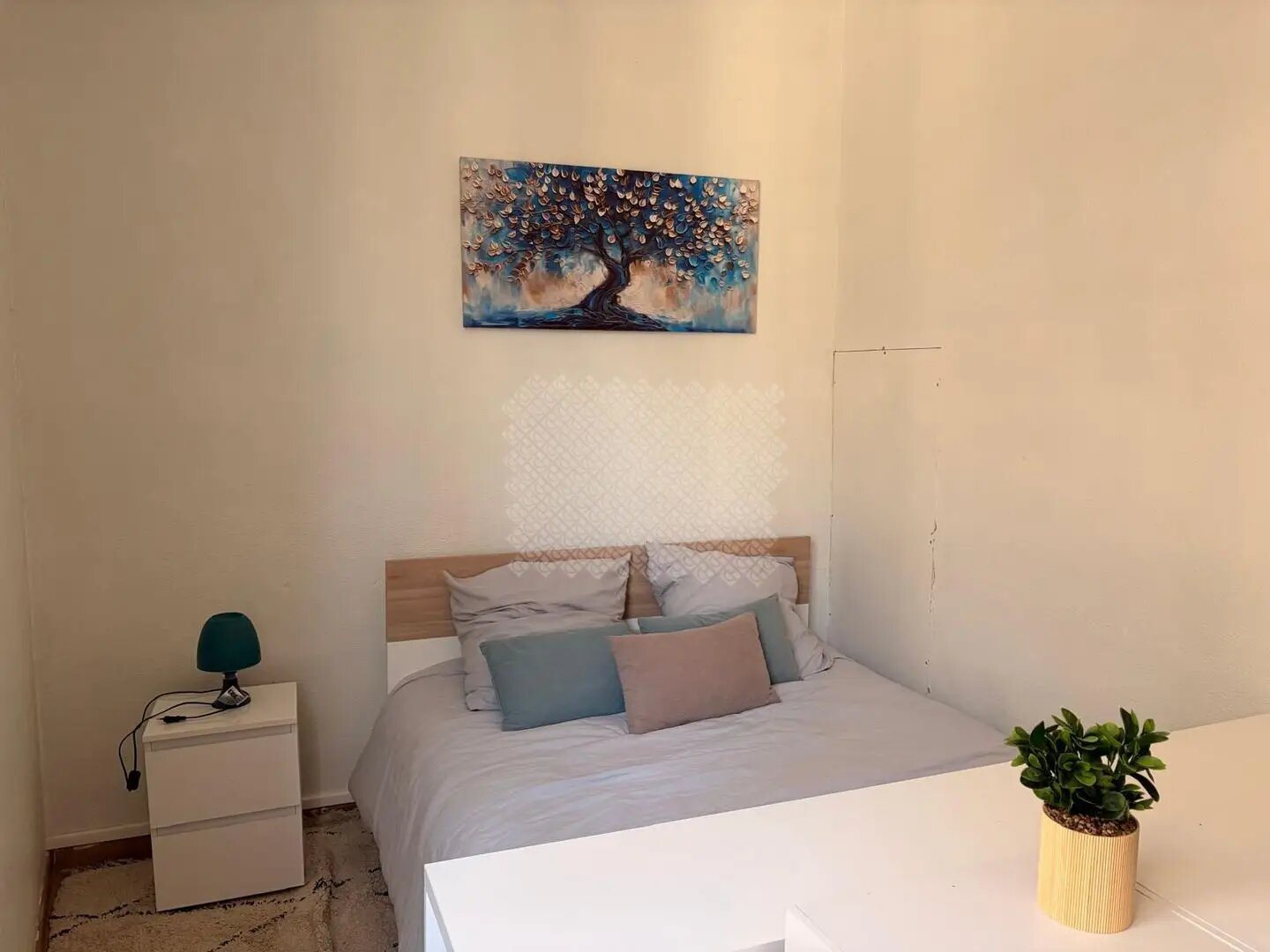 Appartement à louer, 23m², Le Mans