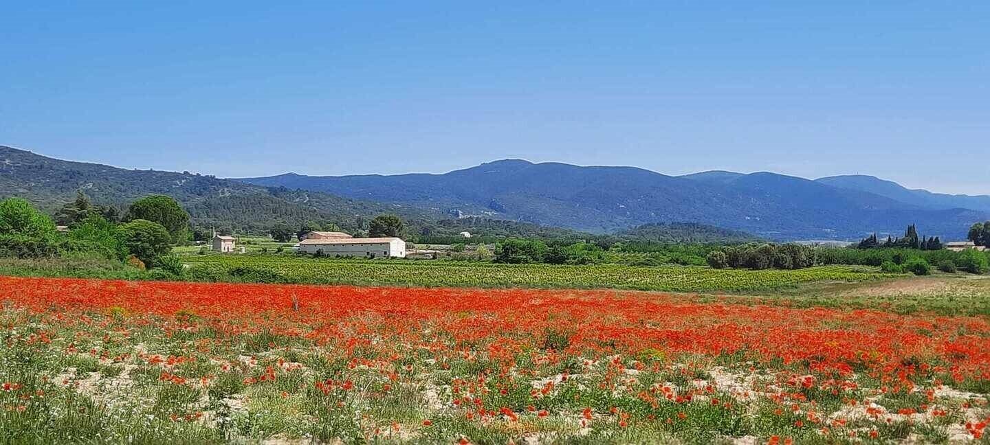Maison à vendre, 850m², Lauris