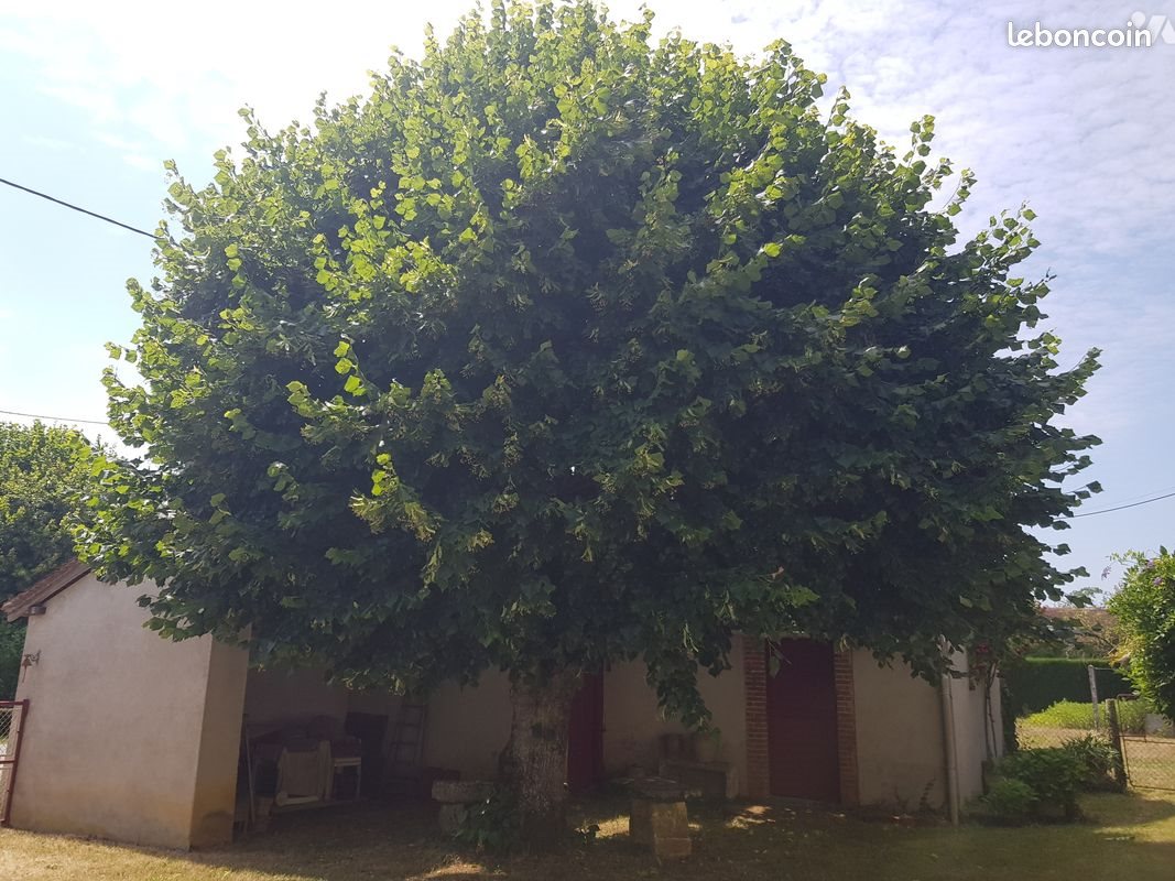 Maison à vendre, 102m², Saint-Christophe-en-Bazelle