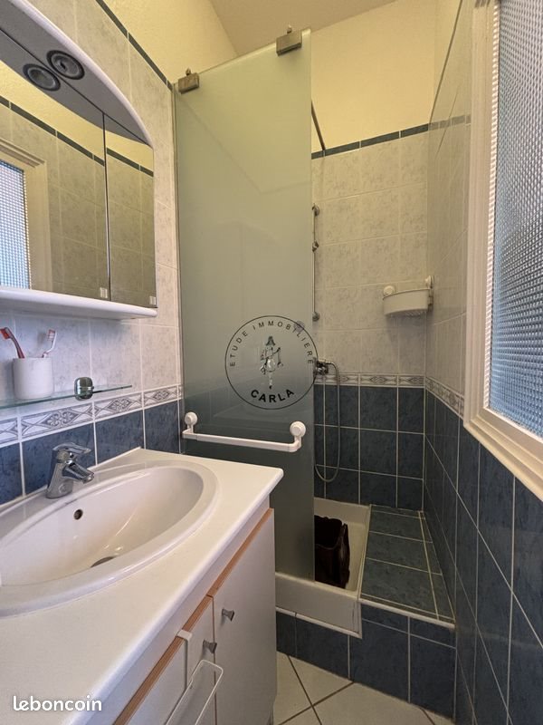 Appartement à louer, 44m², Oullins