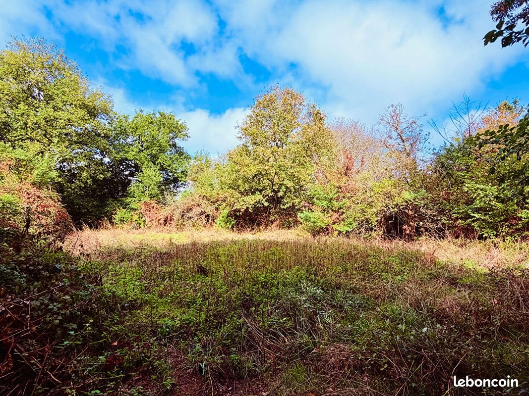 Maison à vendre, 100m², Le Sel-de-Bretagne