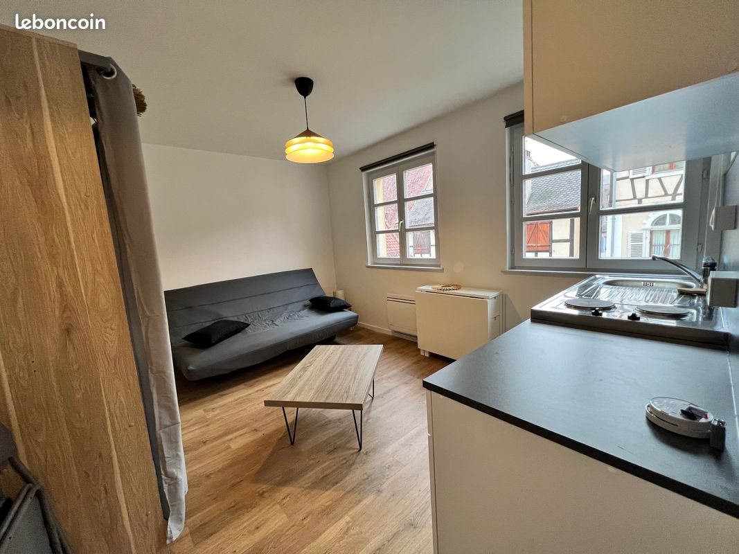 Appartement à louer, 17m², Colmar