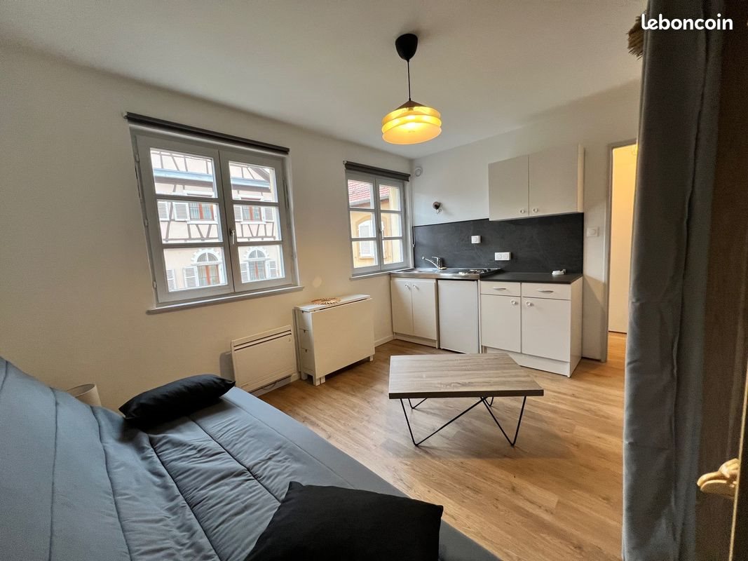 Appartement à louer, 17m², Colmar