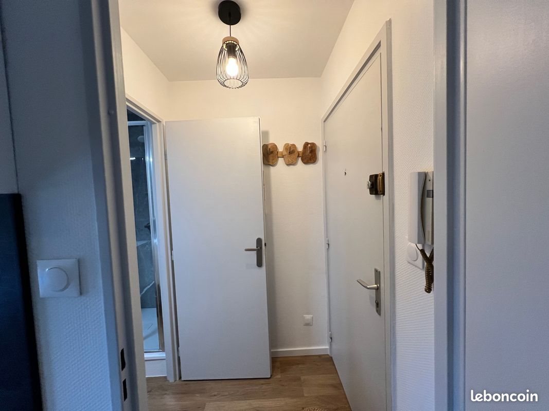 Appartement à louer, 17m², Colmar