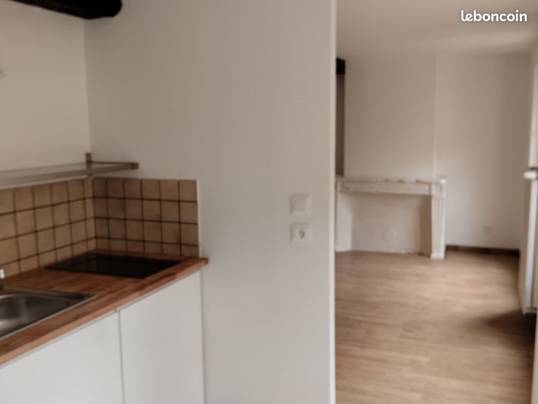 Appartement à louer, 44m², Metz