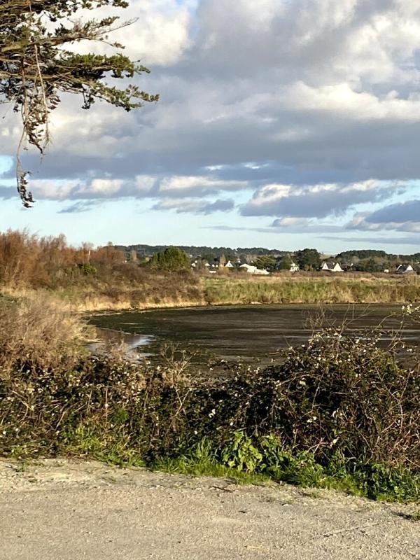 Maison à vendre, 125m², Guérande