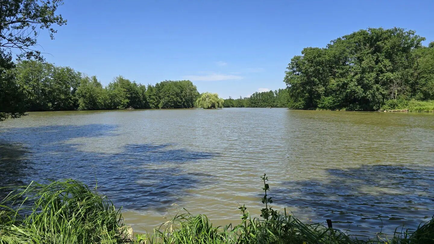 Maison à vendre, 337m², L'Abergement-Sainte-Colombe