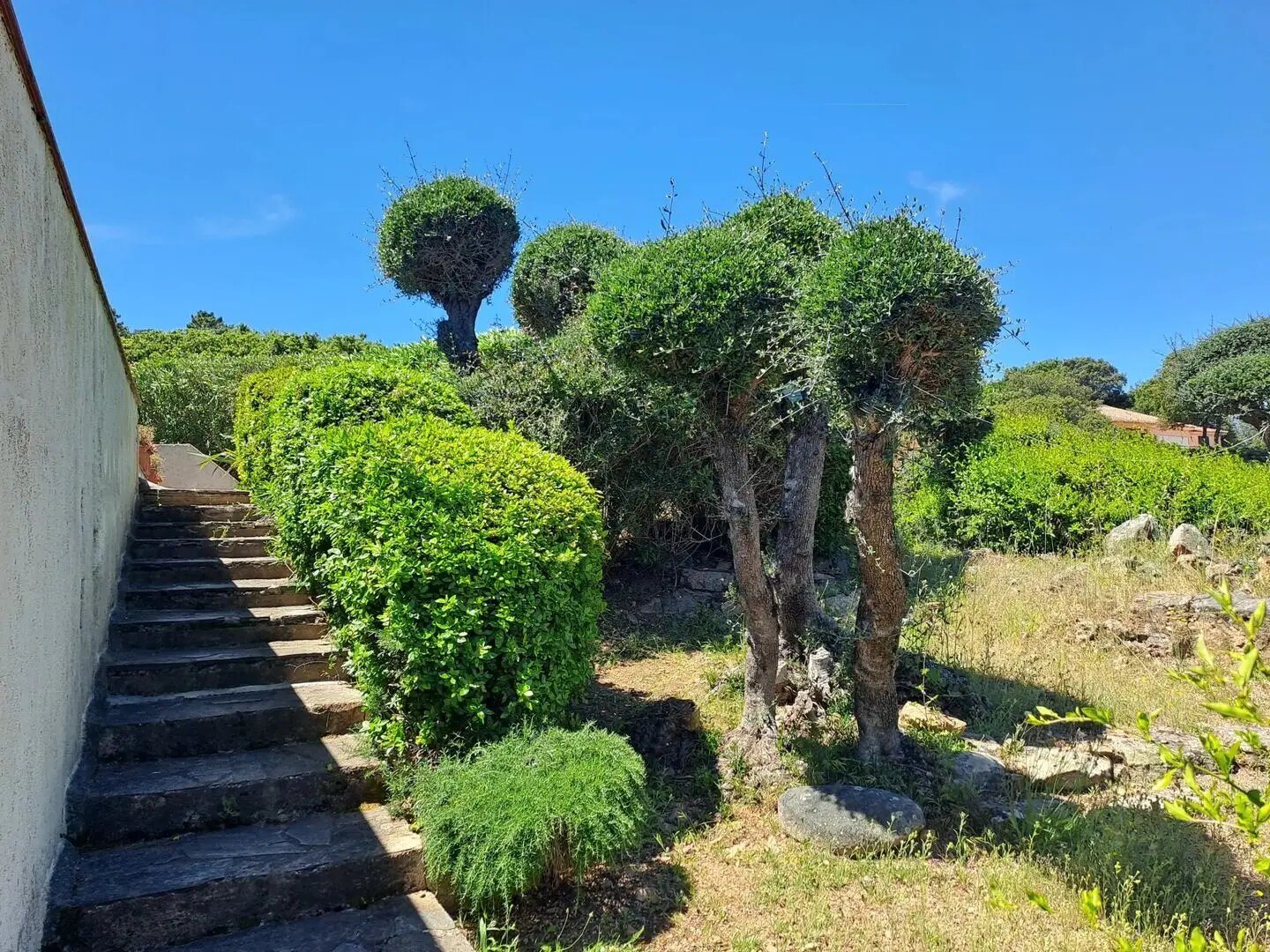 Maison à vendre, 85m², Sainte-Lucie de Porto-Vecchio