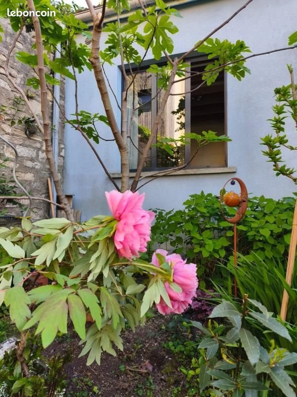 Maison à vendre, 144m², Les Lilas