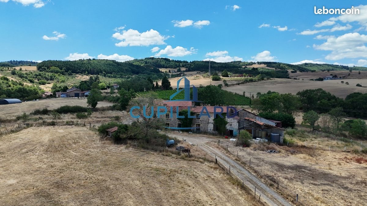 Maison à vendre, 500m², Saint-Jean-Saint-Maurice-sur-Loire