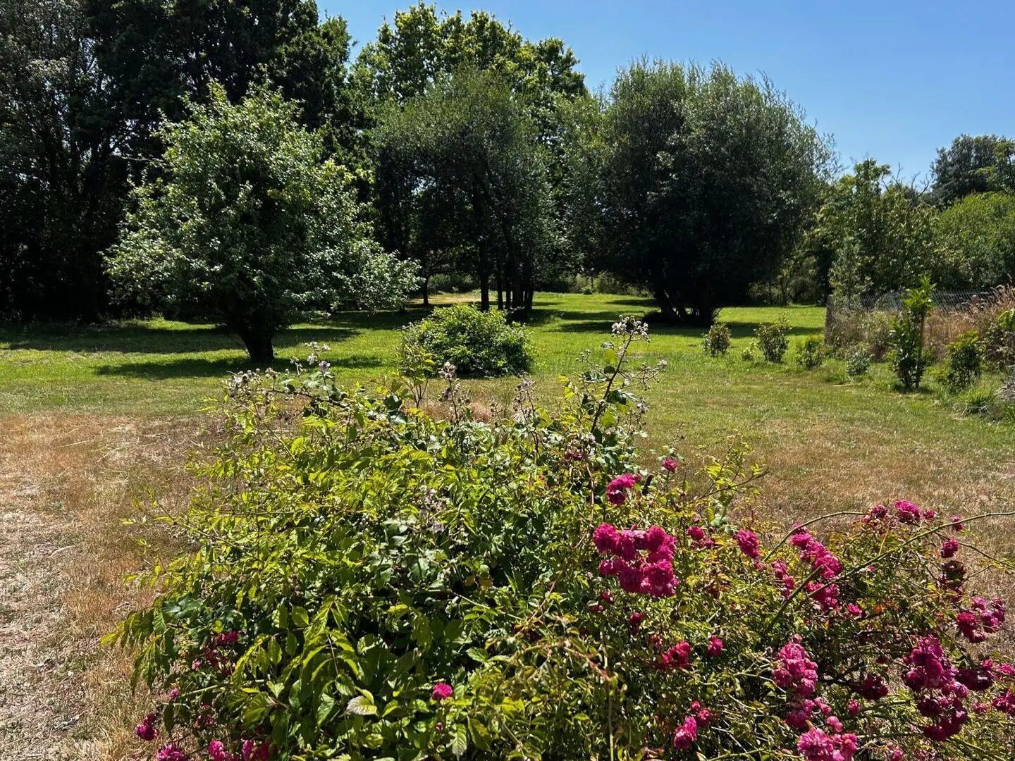 Maison à louer, 18m², Saint-Brevin-les-Pins
