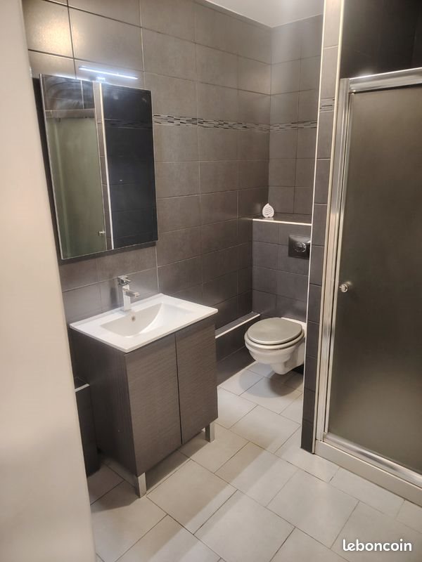 Appartement à louer, 29m², Metz