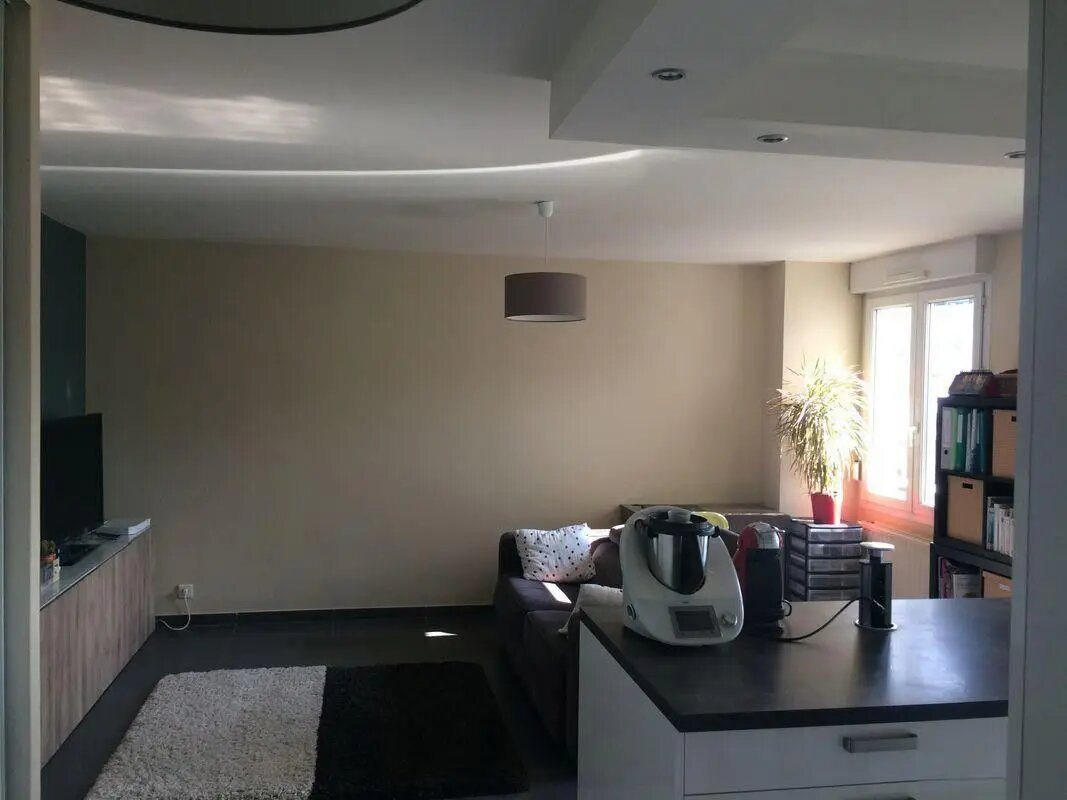 Appartement à louer, 50m², Villeurbanne