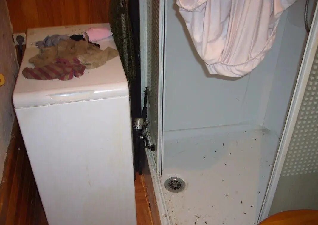 Appartement à louer, 13m², Amiens