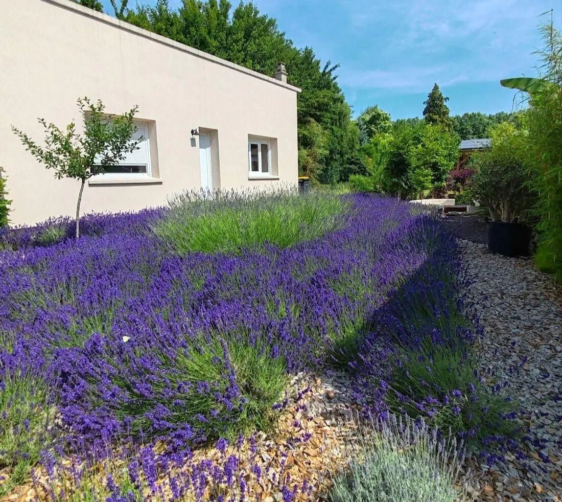 Maison à louer, 40m², Gien