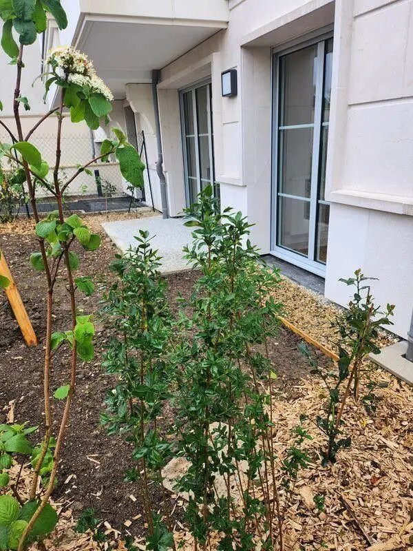 Appartement à louer, 46m², Clamart