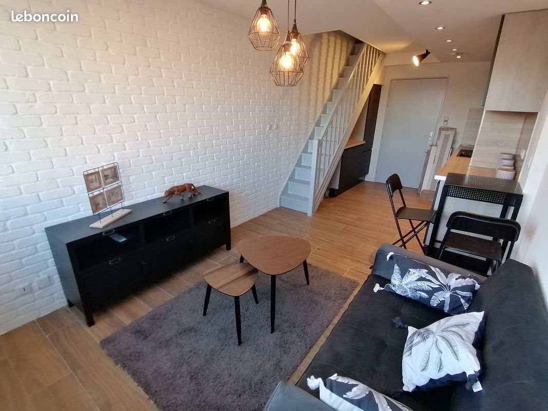 Appartement à louer, 38m², Lyon 8ème