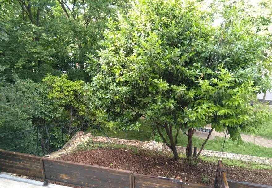 Appartement à louer, 35m², Ivry-sur-Seine