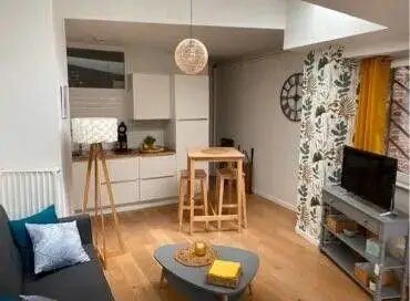 Appartement à louer, 31m², Lille