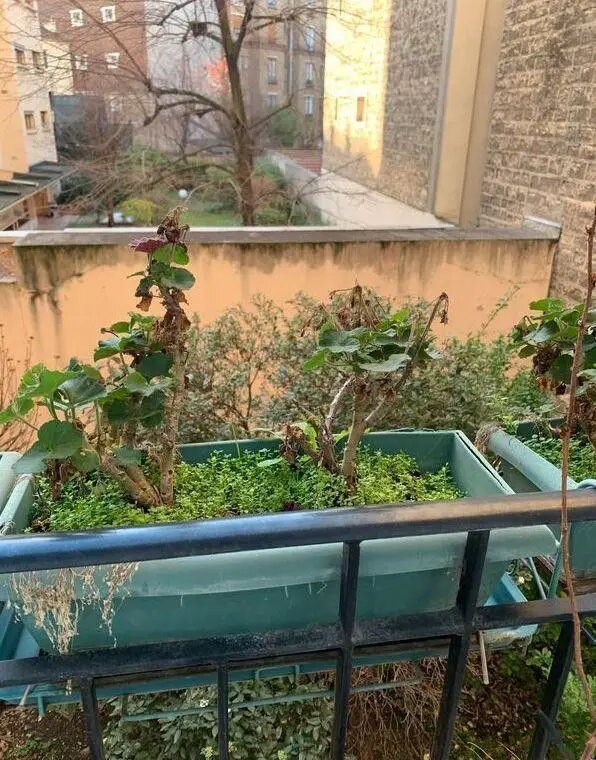 Appartement à louer, 50m², Courbevoie