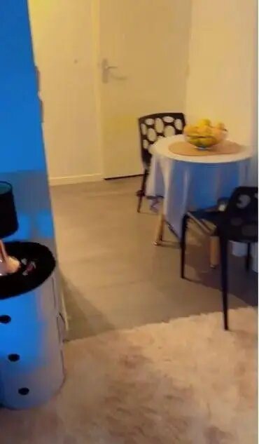 Appartement à louer, 19m², Villeurbanne