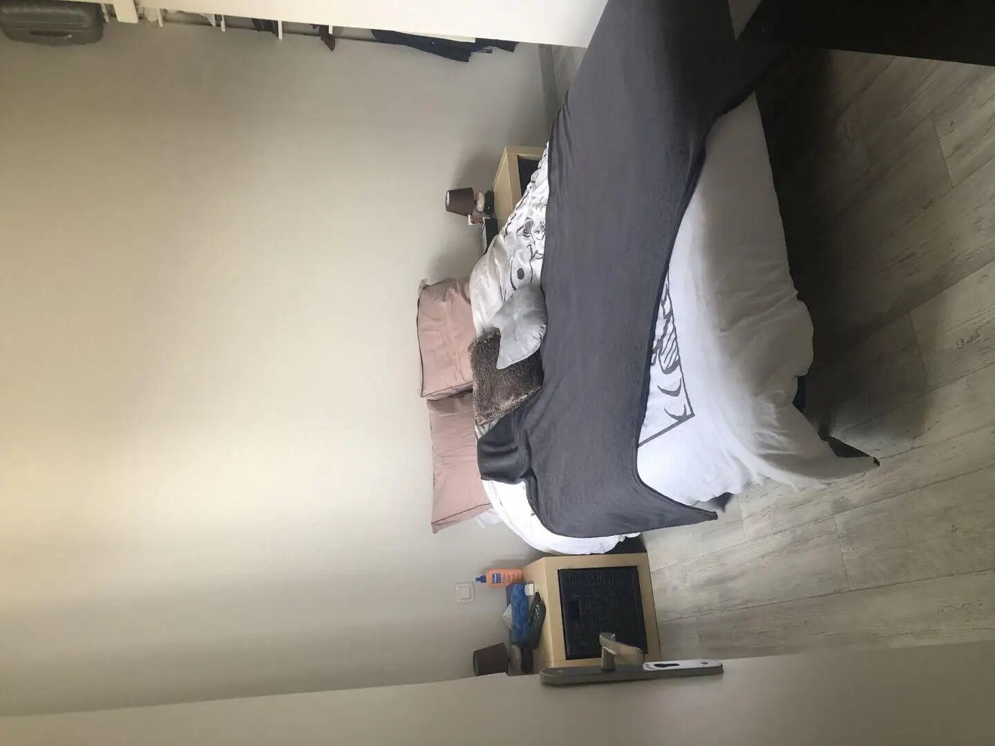 Appartement à louer, 32m², Saint-Ismier