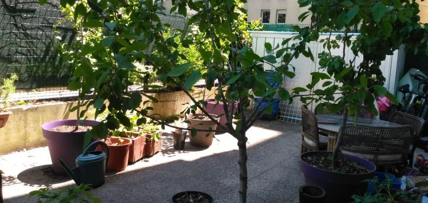 Appartement à louer, 71m², Lyon 7ème