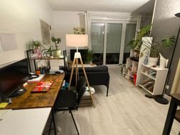 Appartement à louer, 30m², Toulouse