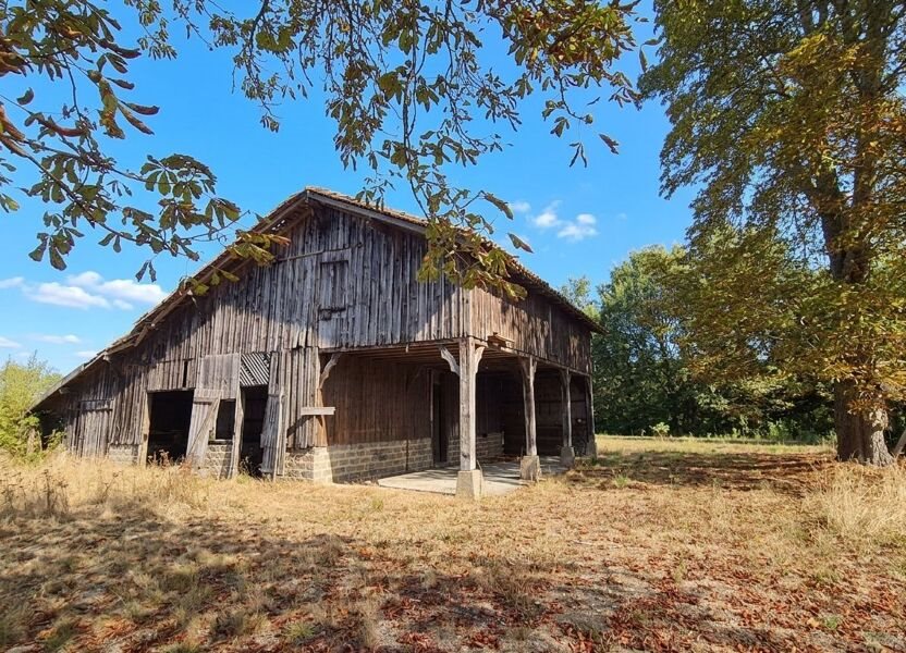 Maison à vendre, 120m², Rion-des-Landes