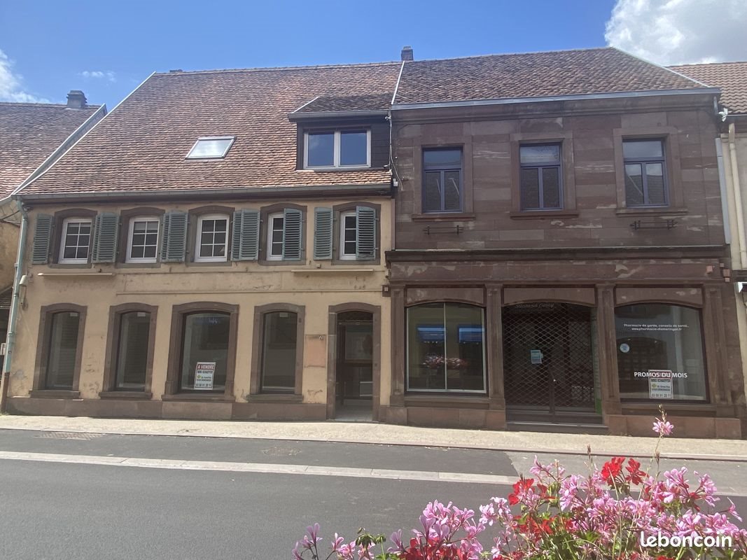 Maison à vendre, 454m², Diemeringen