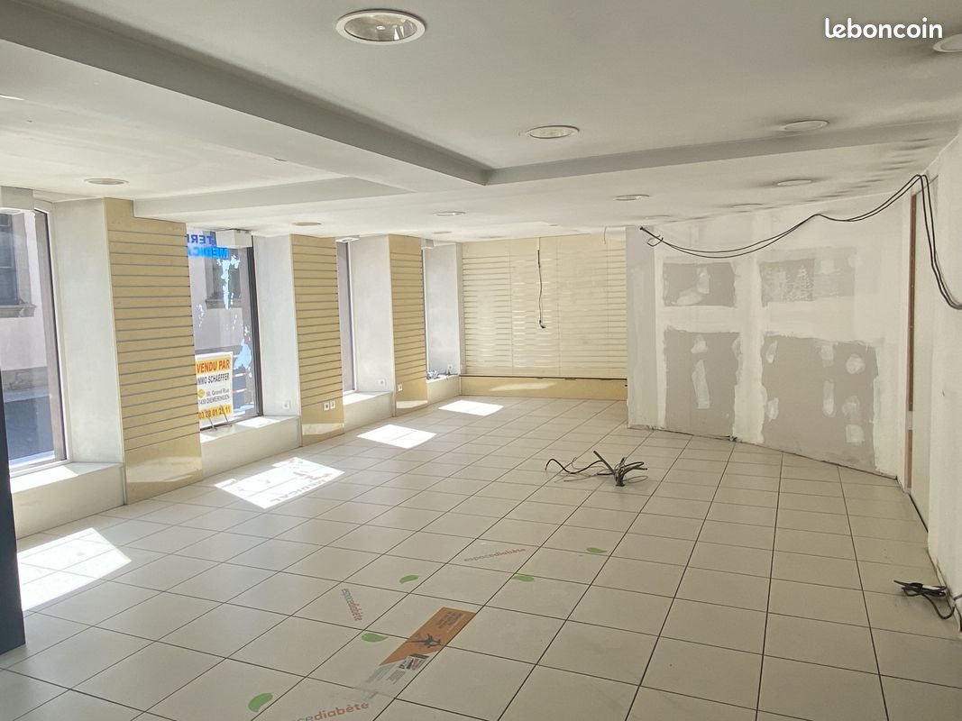Maison à vendre, 454m², Diemeringen