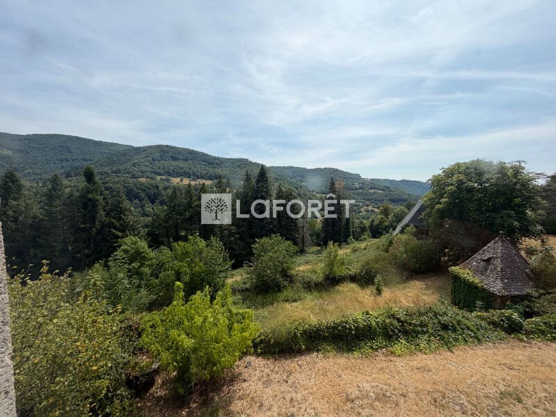 Maison à vendre, 228m², Thiézac