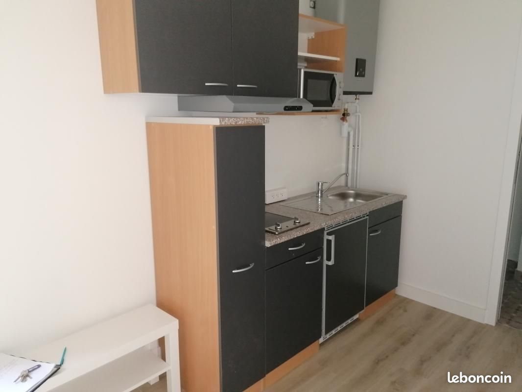 Appartement à louer, 21m², Lyon 8ème