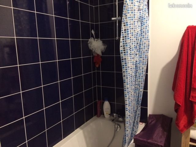 Appartement à louer, 44m², Caluire-et-Cuire