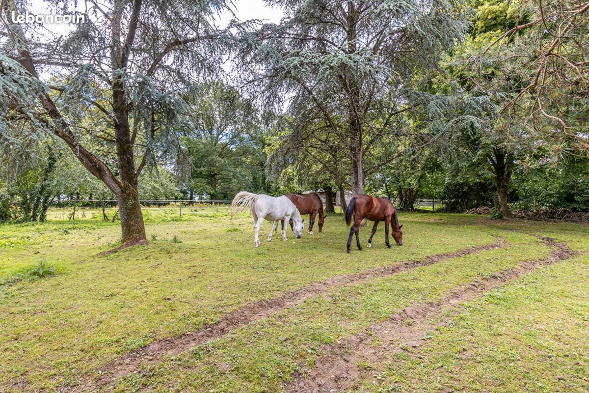 Maison à vendre, 230m², Baulon