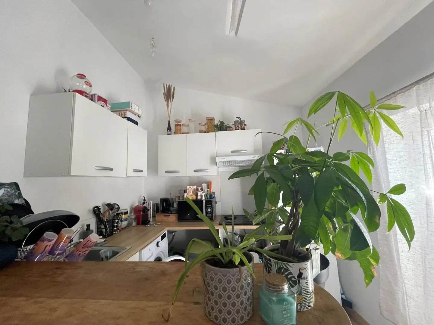 Appartement à louer, 39m², Saint-Maximin-la-Sainte-Baume