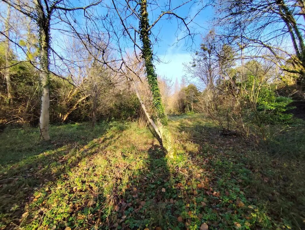 Maison à vendre, 90m², Bonnetan