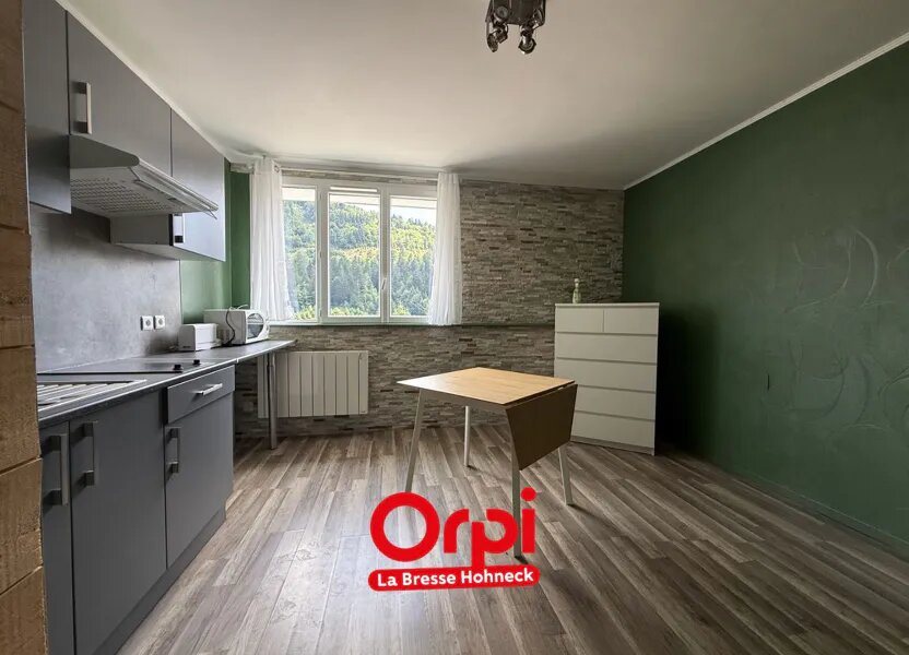 Appartement à vendre, 17m², La Bresse