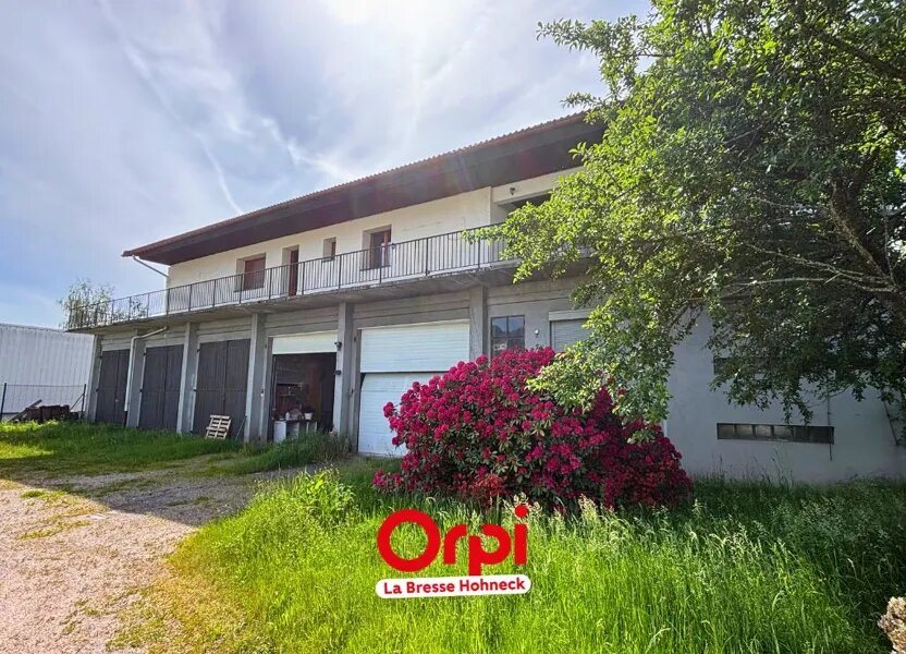 Maison à vendre, 420m², Gérardmer