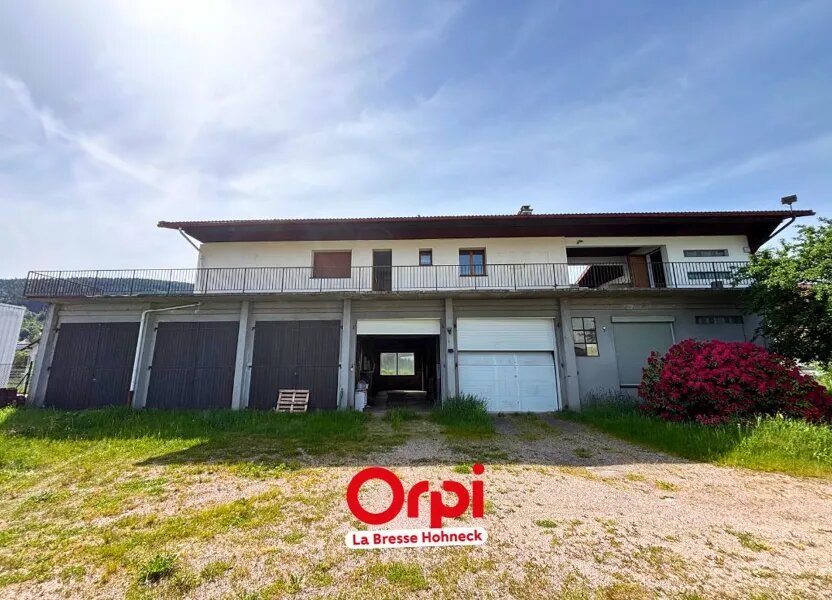 Maison à vendre, 420m², Gérardmer