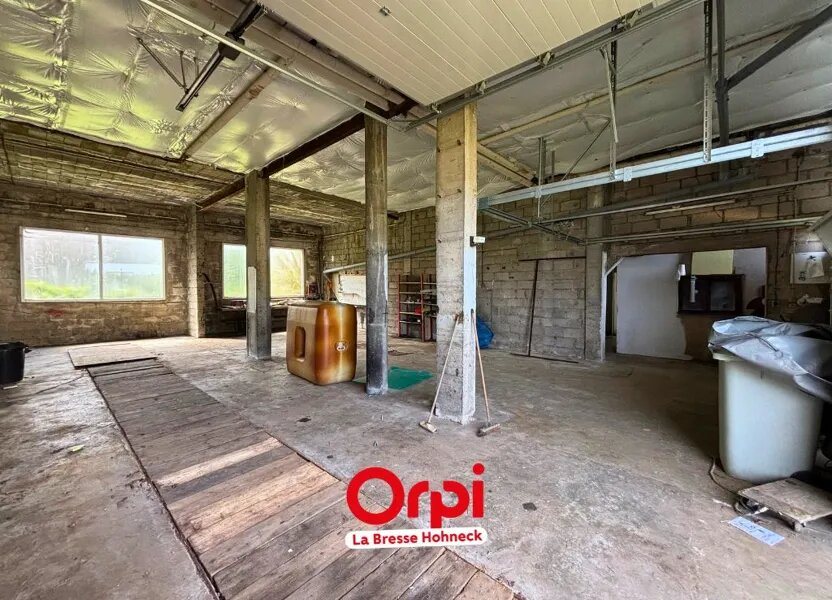 Maison à vendre, 420m², Gérardmer
