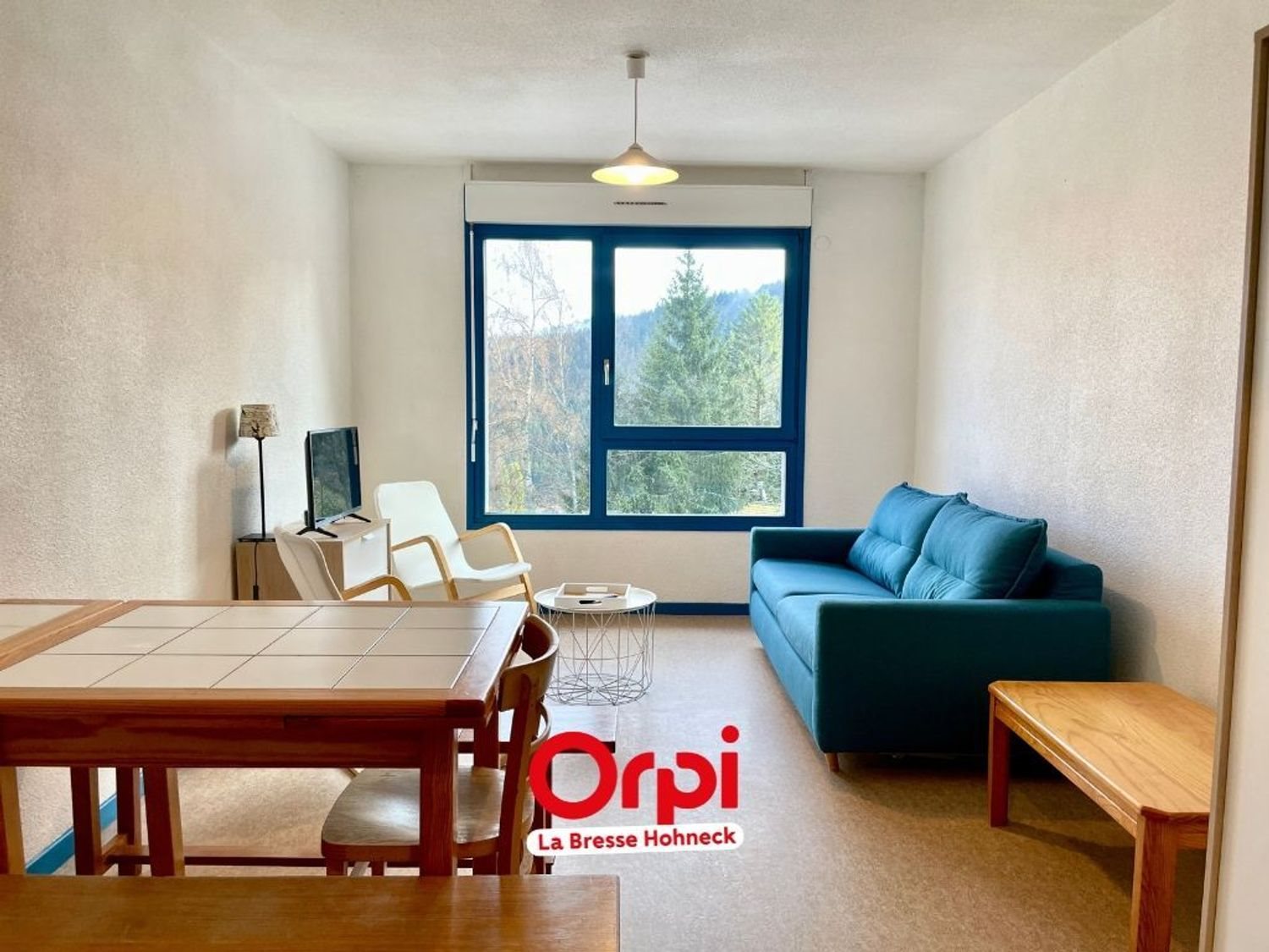 Appartement à vendre, 29m², Xonrupt-Longemer
